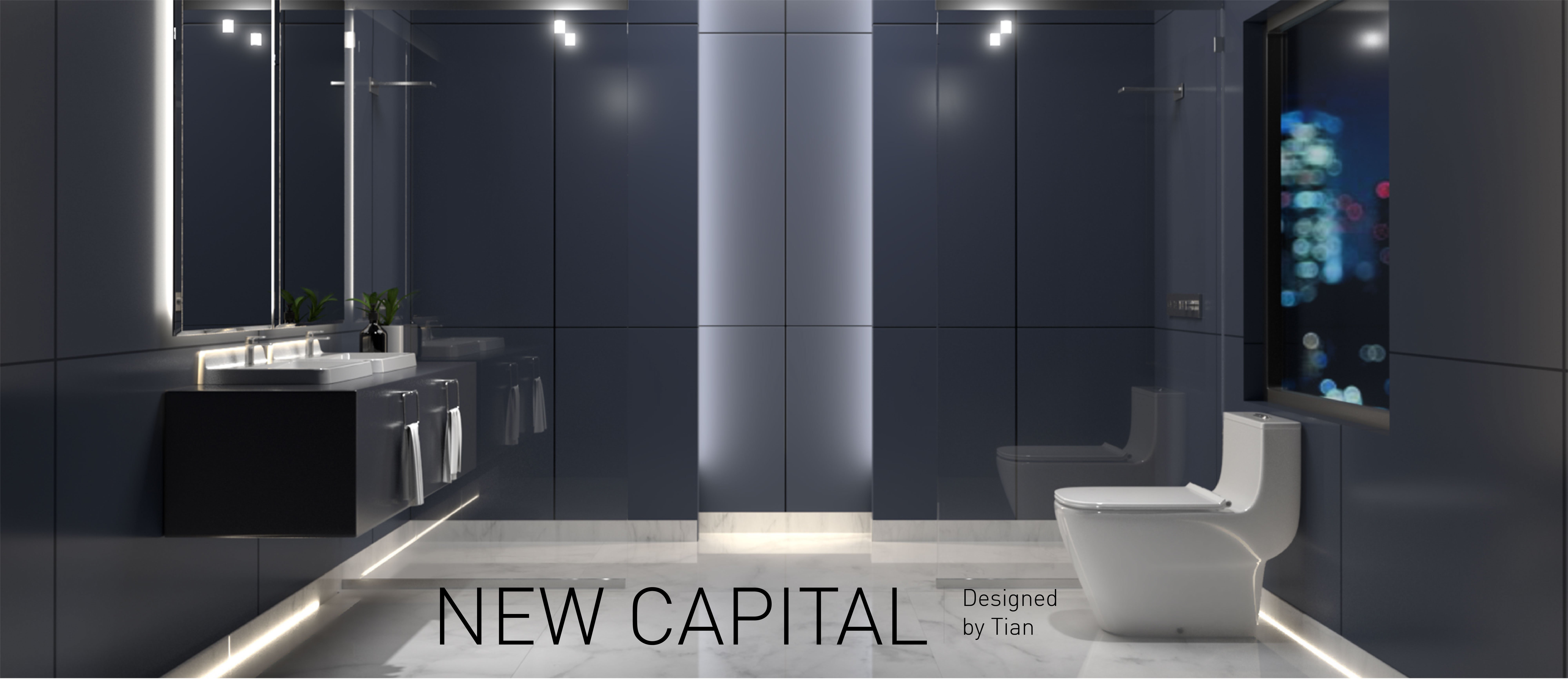 NEW CAPITAL